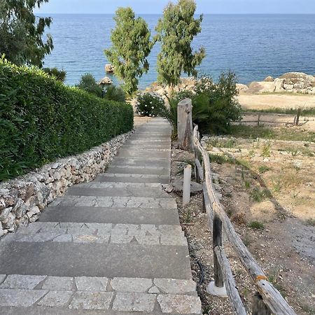 Villa Hibiscus Scopello سكوبيلو المظهر الخارجي الصورة