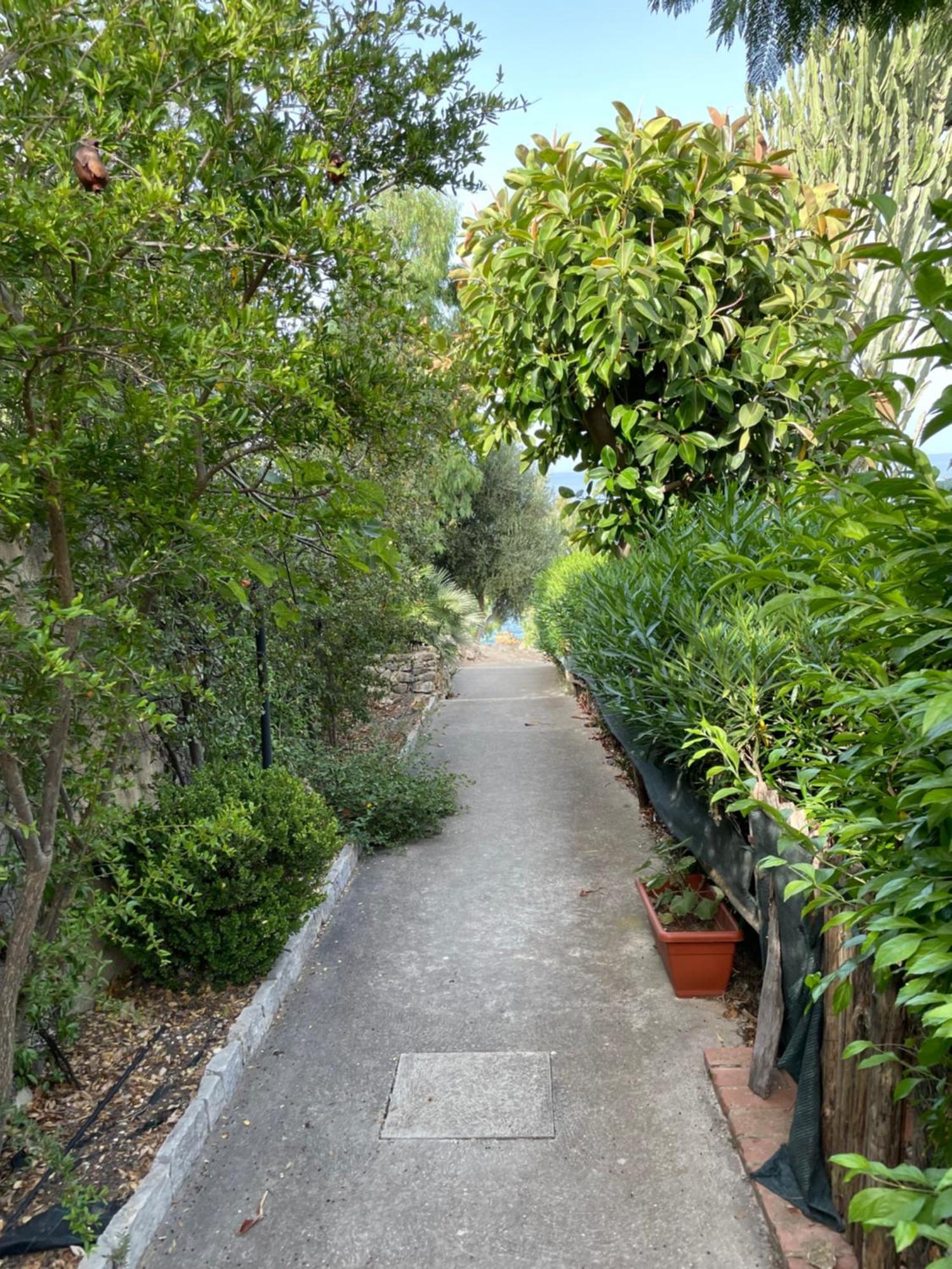 Villa Hibiscus Scopello سكوبيلو المظهر الخارجي الصورة