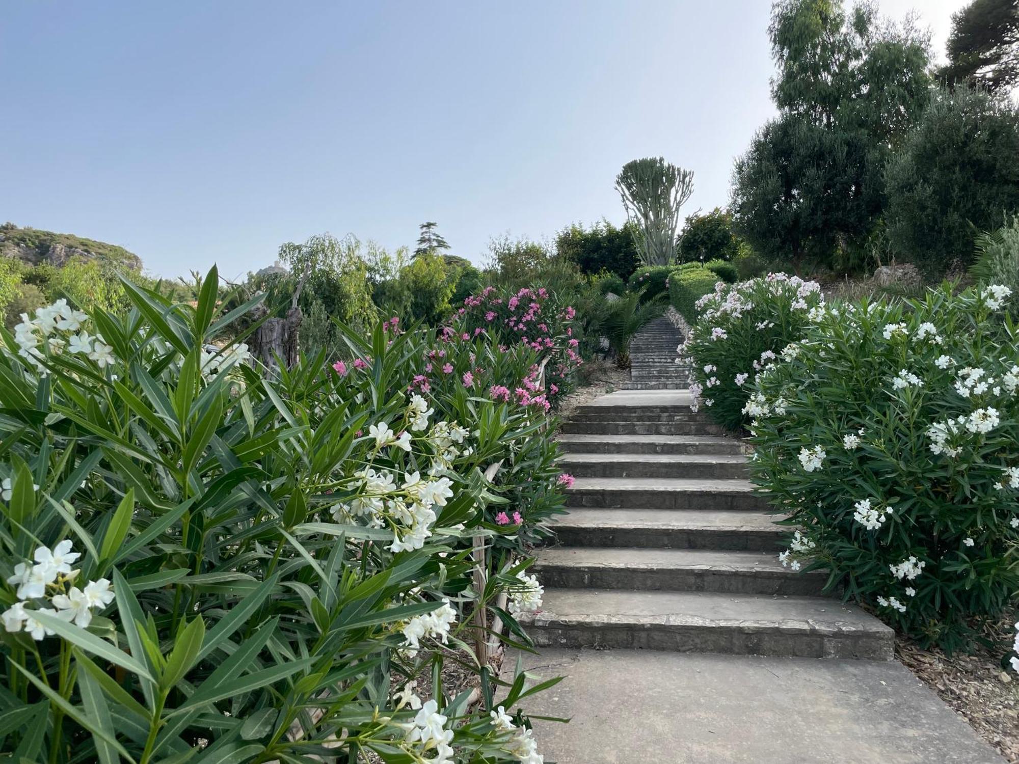 Villa Hibiscus Scopello سكوبيلو المظهر الخارجي الصورة
