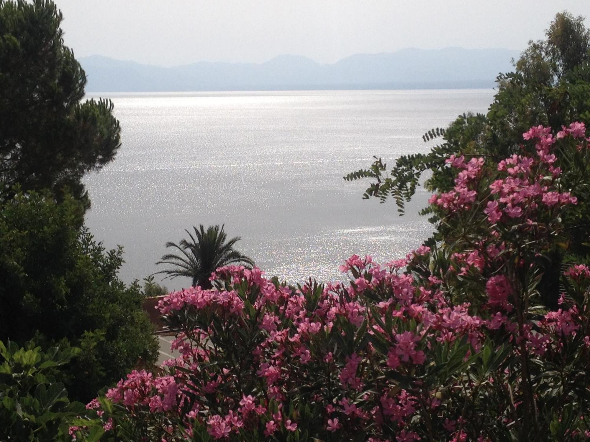 Villa Hibiscus Scopello سكوبيلو المظهر الخارجي الصورة
